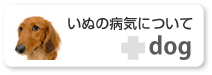 ���ʂ̕a�C�ɂ���