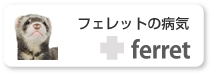 �t�F���b�g�̕a�C�ɂ���