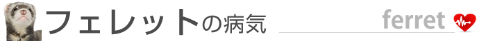 �t�F���b�g�̕a�C