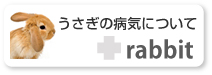 �������̕a�C�ɂ���