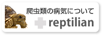 ঒��ނ̕a�C�ɂ���