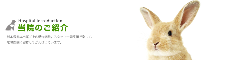 当院の紹介