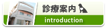 診療案内