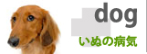 ���ʂ̕a�C