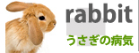 �������̕a�C