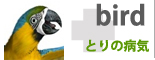 �Ƃ�̕a�C