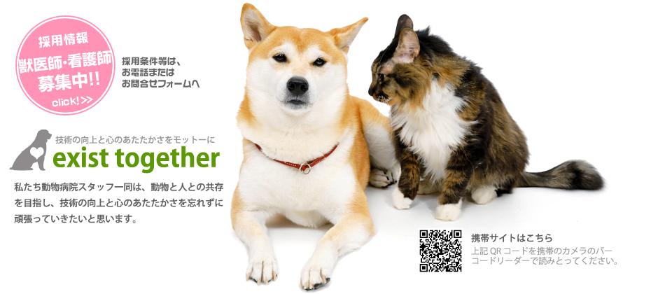 exist together