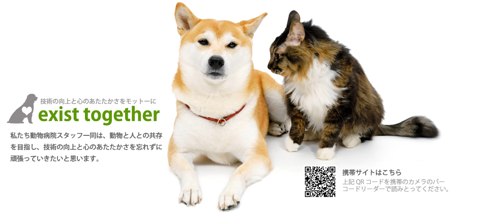 exist together