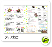 ���̏o�Y