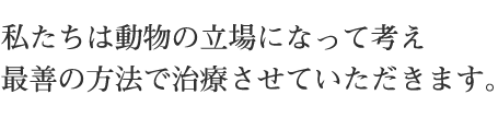 私たちは動物の立場になって考え最善の方法で治療させていただきます。