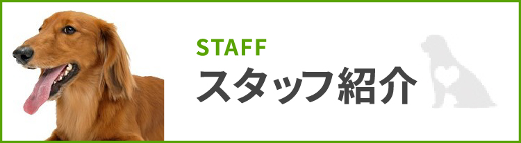 スタッフ紹介