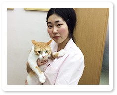 看護師佐藤